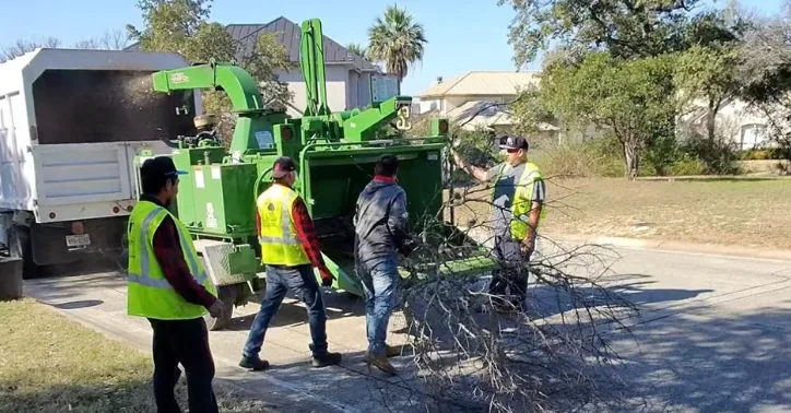 Tree crew feeding branches into a chipper