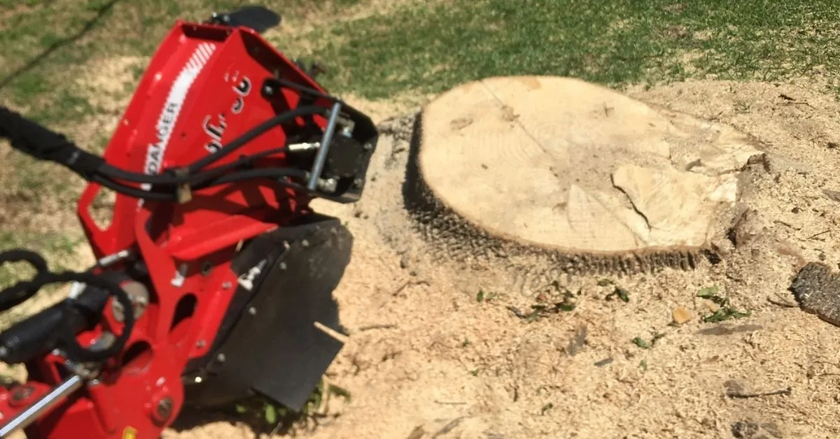 Red stump grinder beside a large tree stump in a lawn