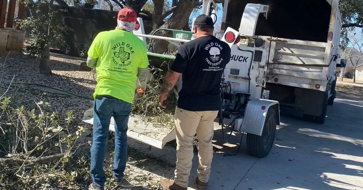 Two crew members feeding cut brush into a wood chipper
