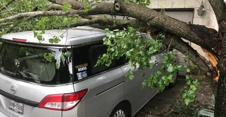 Fallen tree limb lying on top of a silver minivan in a driveway