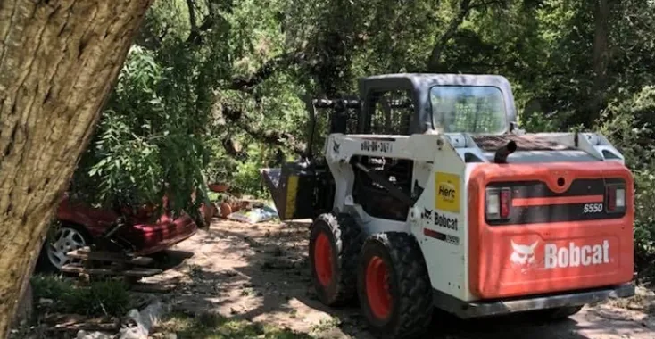 Skid steer loader working among trees and debris in a yard