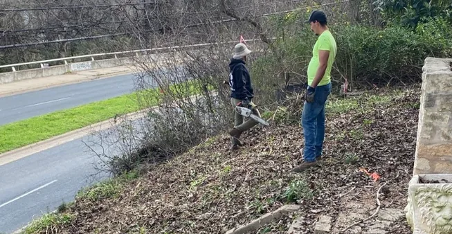 Two workers clearing brush from a sloped bank beside a road