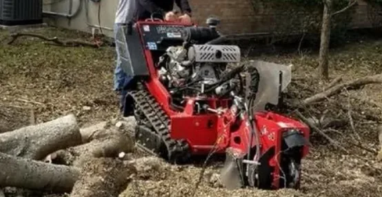 Worker operating a tracked stump grinder among cut logs