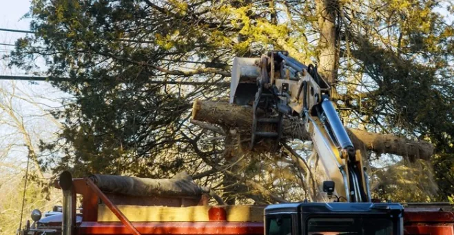 Grapple crane lifting a log section into a red dump truck