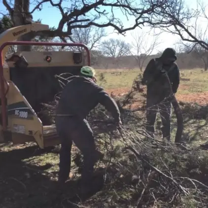 Two workers feeding brush into a wood chipper in a field